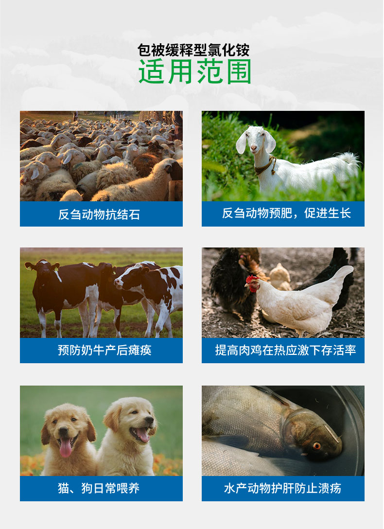 包被型饲料添加剂氯化铵 包被型饲料添加剂氯化铵