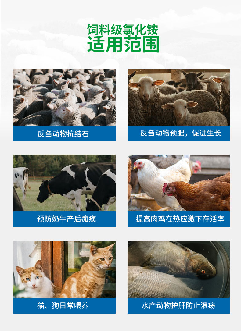 饲料添加剂氯化铵 饲料添加剂氯化铵